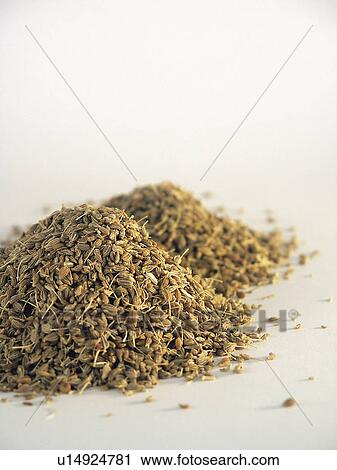 Stock Image - Spice, Spices, Ingredient, Ingredients, Food, Anise, Anises. Fotosearch