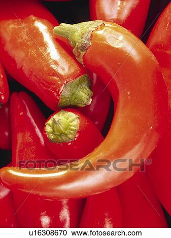 Spice, Spices, Ingredient, Ingredients, Food, Chili Pepper, Red Chili Pepper View Large Photo Image Stock Image - Spice, Spices, Ingredient, Ingredients, Food, Chili Pepper, Red Chili Pepper. Fotosearch