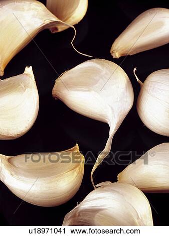 Spice, Spices, Ingredient, Ingredients, Food, Garlic, Garlics View Large Photo Image Stock Image - Spice, Spices, Ingredient, Ingredients, Food, Garlic, Garlics. Fotosearch