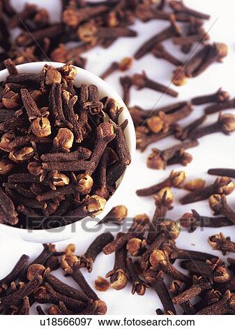 Stock Photo - Spice, Spices, Ingredient, Ingredients, Food, Clove, Cloves. Fotosearch
