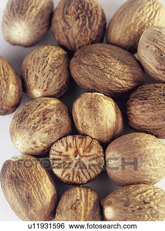 Spice, Spices, Ingredient, Ingredients, Food, Nutmeg, Background View Large Photo Image Stock Photograph - Spice, Spices, Ingredient, Ingredients, Food, Nutmeg, Background. Fotosearch
