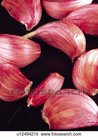 Spice, Spices, Ingredient, Ingredients, Food, Garlic, Garlics View Large Photo Image Stock Photography - Spice, Spices, Ingredient, Ingredients, Food, Garlic, Garlics. Fotosearch