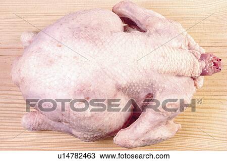 Stock Image - Food, Meat, Raw, Raw meat, Chicken, Chicken meat, Whole. Fotosearch