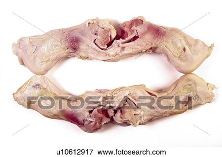 Food, Meat, Raw, Raw meat, Lamb, Hand lamb, Hand lambs View Large Photo Image Stock Photo - Food, Meat, Raw, Raw meat, Lamb, Hand lamb, Hand lambs. Fotosearch