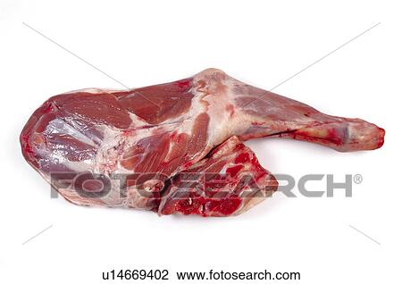 Food, Meat, Raw, Raw meat, Lamb, Leg, Leg of lamb View Large Photo Image Stock Image - Food, Meat, Raw, Raw meat, Lamb, Leg, Leg of lamb. Fotosearch