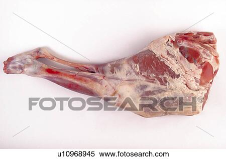 Food, Meat, Raw, Raw meat, Lamb, Leg, Leg of lamb View Large Photo Image Stock Photography - Food, Meat, Raw, Raw meat, Lamb, Leg, Leg of lamb. Fotosearch