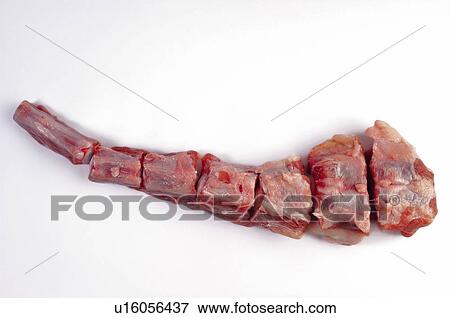 Food, Meat, Raw, Raw meat, Oxtail, Cut, Piece View Large Photo Image Stock Photo - Food, Meat, Raw, Raw meat, Oxtail, Cut, Piece. Fotosearch