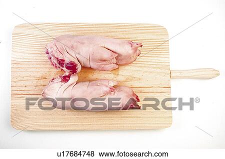 Food, Meat, Raw, Raw meat, Pigs trotters, Pig, Pork View Large Photo Image Stock Photo - Food, Meat, Raw, Raw meat, Pigs trotters, Pig, Pork. Fotosearch