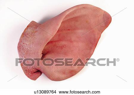 Food, Meat, Raw, Raw meat, Pork, Ear, Ears View Large Photo Image Picture - Food, Meat, Raw, Raw meat, Pork, Ear, Ears. Fotosearch