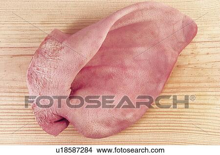 Food, Meat, Raw, Raw meat, Pork, Ear, Ears View Large Photo Image Picture - Food, Meat, Raw, Raw meat, Pork, Ear, Ears. Fotosearch