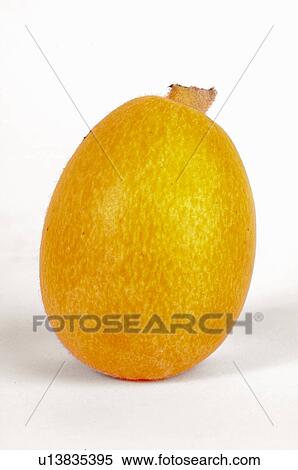 フルーツ グレープフルーツ Pomelo 黄色 １ クエン性 柑橘系の果物 ストックフォト 写真素材 U Fotosearch