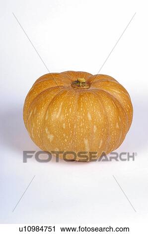 野菜 カボチャ １ 荒い 黄色 皮 皮膚 ストックイメージ U Fotosearch