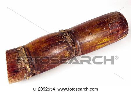 Cane, Sugar, Sugar cane, Brown, Stick View Large Photo Image Picture - Cane, Sugar, Sugar cane, Brown, Stick. Fotosearch