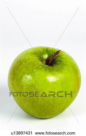 Fruit, Apple, Green, Green apple, One, Brillant, Bright View Large Photo Image Stock Image - Fruit, Apple, Green, Green apple, One, Brillant, Bright. Fotosearch