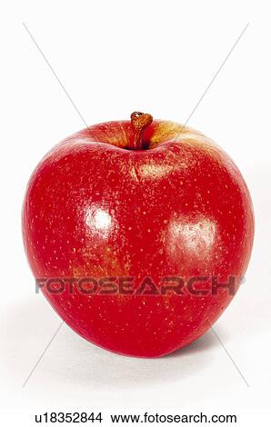 Fruit, Apple, Red, Red apple, One, Brillant, Bright View Large Photo Image Picture - Fruit, Apple, Red, Red apple, One, Brillant, Bright. Fotosearch