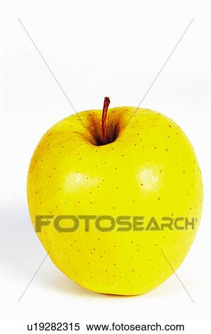 Stock Photography - Fruit, Apple, Yellow, Yellow apple, One, Peel, Skin. Fotosearch