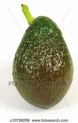 Stock Photo - Fruit, Avocado, Avocado pear, Avocado fruit, Green, One, Peel. Fotosearch