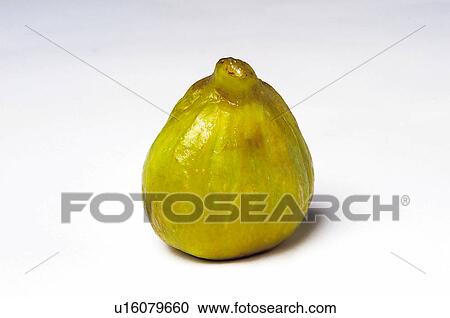 Fruit, Fig, Green, Green fig, Peel, Skin, Rind View Large Photo Image Stock Image - Fruit, Fig, Green, Green fig, Peel, Skin, Rind. Fotosearch