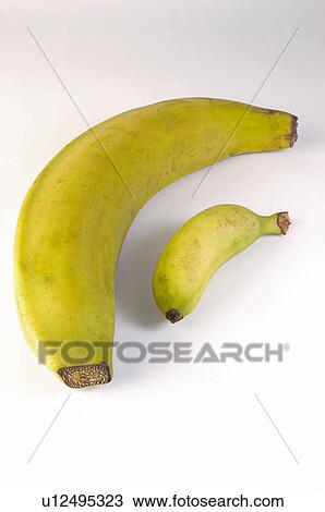 Stock Image - Fruit, Fruits, Banana, Bananas, Yellow, Yellow color, Yellow colour. Fotosearch