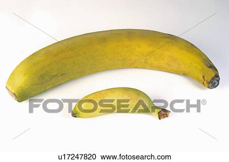 Stock Image - Fruit, Fruits, Banana, Bananas, Yellow, Yellow color, Yellow colour. Fotosearch