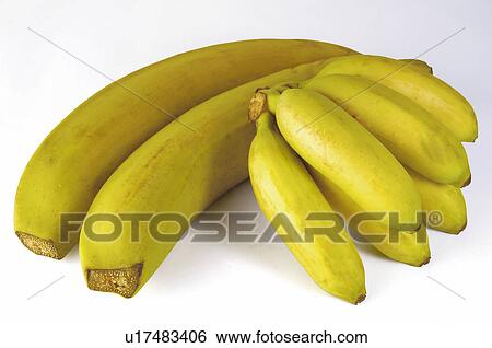 Fruit, Fruits, Banana, Bananas, Yellow, Yellow color, Yellow colour View Large Photo Image Stock Photograph - Fruit, Fruits, Banana, Bananas, Yellow, Yellow color, Yellow colour. Fotosearch