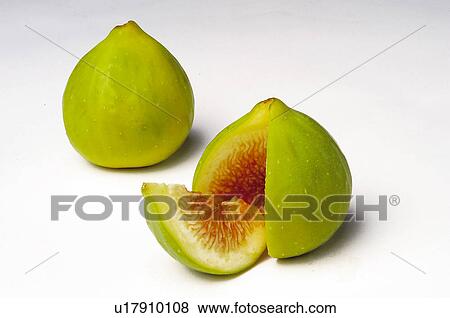 Fruit, Fruits, Fig, Figs, Green, Green fig, Green figs View Large Photo Image Stock Photo - Fruit, Fruits, Fig, Figs, Green, Green fig, Green figs. Fotosearch