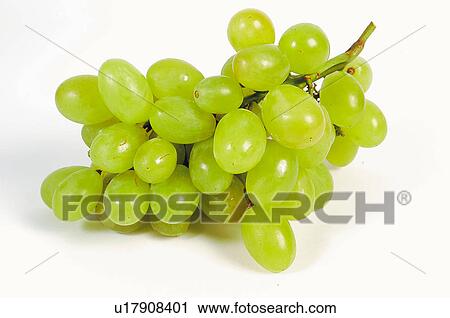 Fruit, Fruits, Grape, Grapes, Bunch, Cluster, White grape View Large Photo Image Stock Image - Fruit, Fruits, Grape, Grapes, Bunch, Cluster, White grape. Fotosearch