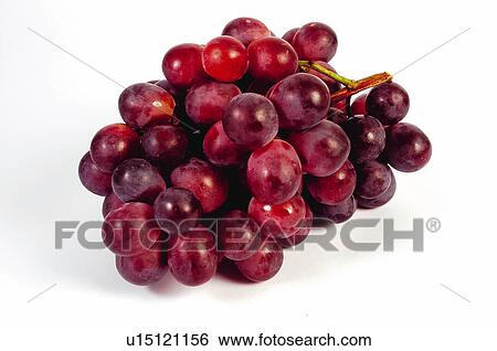 Fruit, Fruits, Grape, Grapes, Bunch, Cluster, Red grape View Large Photo Image Stock Photograph - Fruit, Fruits, Grape, Grapes, Bunch, Cluster, Red grape. Fotosearch