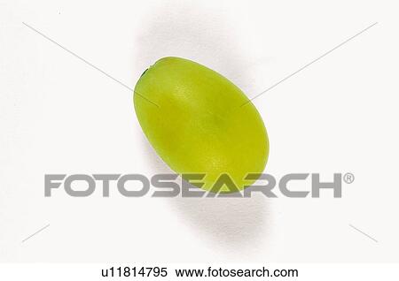 Stock Photography - Fruit, Fruits, Grape, White grape, White, One, Stem. Fotosearch