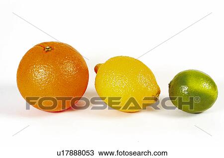 Fruit, Fruits, Orange, Lemon, Lime, Orange fruit, Lemon fuit View Large Photo Image Stock Image - Fruit, Fruits, Orange, Lemon, Lime, Orange fruit, Lemon fuit. Fotosearch