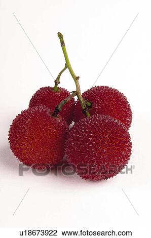 Fruit, Fruits, Red, Red color, Red colour, Round, One View Large Photo Image Stock Image - Fruit, Fruits, Red, Red color, Red colour, Round, One. Fotosearch