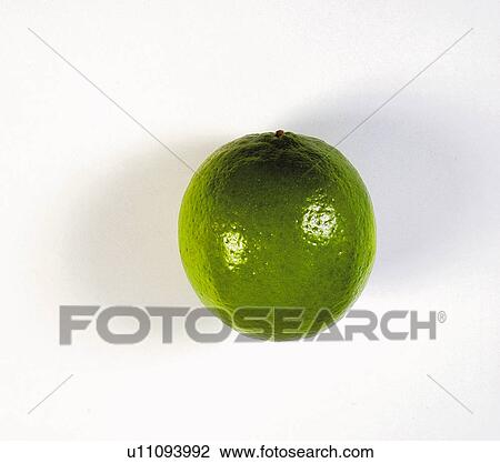 Stock Image - Fruit, Lime, Lime fruit, Green, One, Peel, Skin. Fotosearch