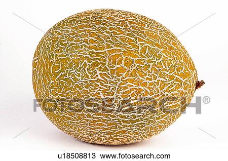 Fruit, Melon, Melon fruit, One, Sweet, Rough, Oval View Large Photo Image Stock Image - Fruit, Melon, Melon fruit, One, Sweet, Rough, Oval. Fotosearch