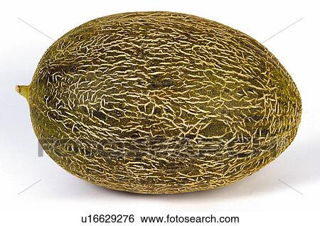 Stock Photograph - Fruit, Melon, Melon fruit, One, Sweet, Rough, Oval. Fotosearch