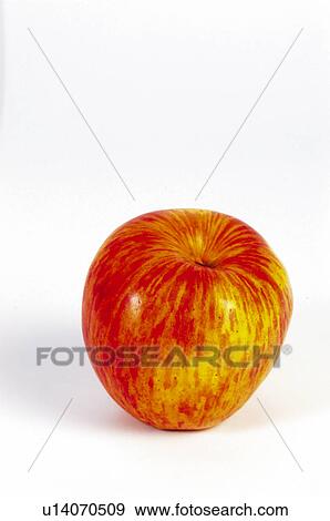 Stock Photo - Fruit, Nectarine, Yellow, Orange colour, Yellow and orange, One, Peel. Fotosearch