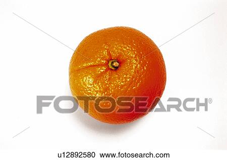 Fruit, Orange, Orange fruit, One, Round, Circle, Peel View Large Photo Image Stock Image - Fruit, Orange, Orange fruit, One, Round, Circle, Peel. Fotosearch
