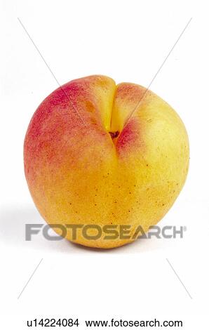 Fruit, Peach, Apricot, Round, Orange Colour, One, Peel View Large Photo Image Picture - Fruit, Peach, Apricot, Round, Orange Colour, One, Peel. Fotosearch