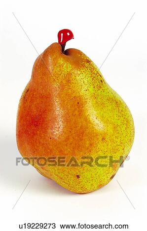 Stock Image - Fruit, Pear, Pear form, Red, Yellow, Red and yellow, One. Fotosearch