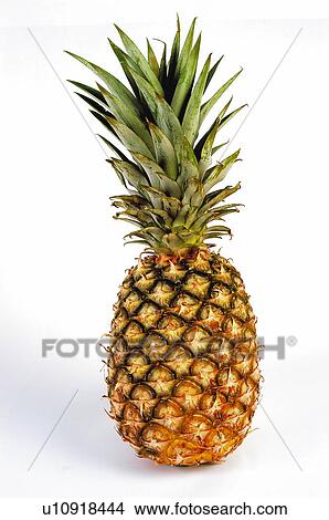 Picture - Fruit, Pineapple, Pineapple fruit, One, Peel, Skin, Rind. Fotosearch