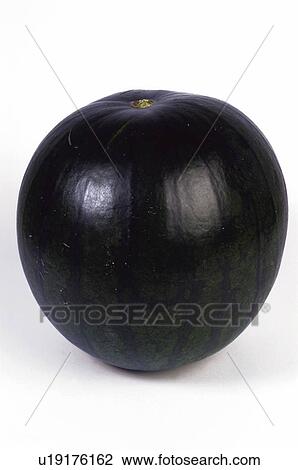 Fruit, Plum, Black, Black plum, One, Peel, Skin View Large Photo Image Stock Image - Fruit, Plum, Black, Black plum, One, Peel, Skin. Fotosearch