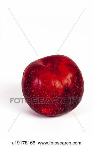 Stock Photograph - Fruit, Plum, Plum fruit, Red, Red plum, Red plum fruit, Round. Fotosearch