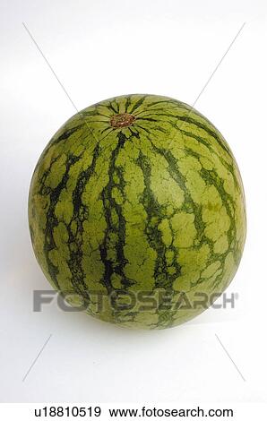 Stock Photo - Fruit, Watermelon, One, Round, Peel, Skin, Rind. Fotosearch