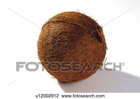Fuit, Round, Coconut, Brown, Rough, Peel, Skin View Large Photo Image Stock Image - Fuit, Round, Coconut, Brown, Rough, Peel, Skin. Fotosearch