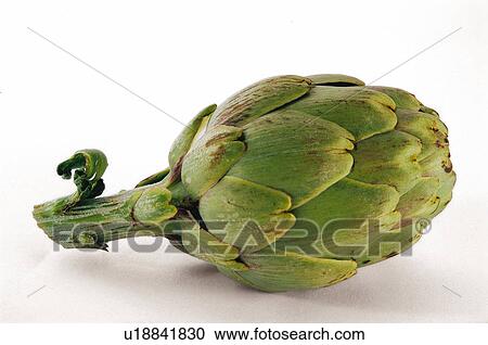 Stock Image - Vegetable, Artichoke, Green, Lying down, Stem, Stalk, One. Fotosearch