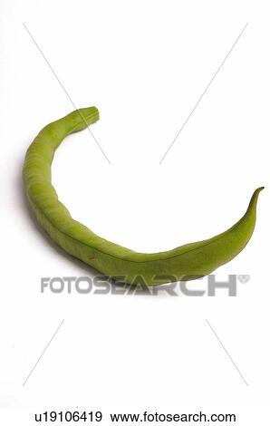 Vegetable, Bean, Green, Green bean, One, Curve View Large Photo Image Stock Photo - Vegetable, Bean, Green, Green bean, One, Curve. Fotosearch