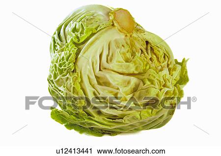 Vegetable, Cabbage, Green, One, Leaf, Leaves, Half View Large Photo Image Stock Image - Vegetable, Cabbage, Green, One, Leaf, Leaves, Half. Fotosearch