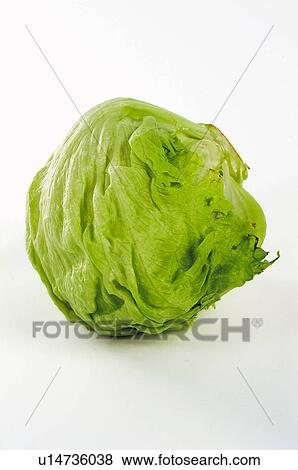 Vegetable, Cabbage, Green, One, Leaf, Leaves View Large Photo Image Stock Photo - Vegetable, Cabbage, Green, One, Leaf, Leaves. Fotosearch