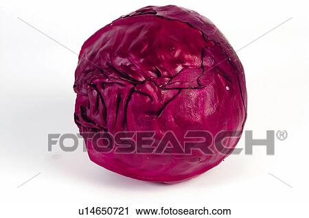 Stock Image - Vegetable, Cabbage, Red, Red cabbage, One. Fotosearch