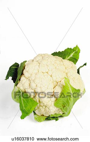 Vegetable, Cauliflower, White, Leaf, Leaves View Large Photo Image Stock Image - Vegetable, Cauliflower, White, Leaf, Leaves. Fotosearch