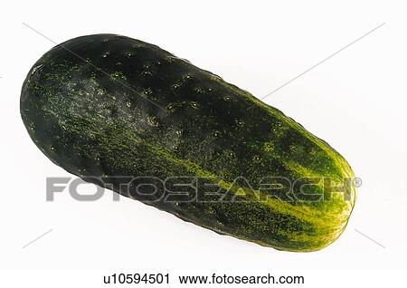 Stock Image - Vegetable, Cucumber, One, One cucumber, Bitter, Bitterness, Green. Fotosearch